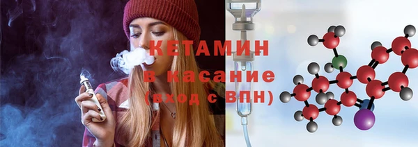 прущие грибы Пересвет