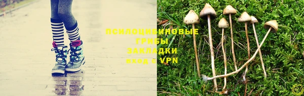 гидропоника Абинск