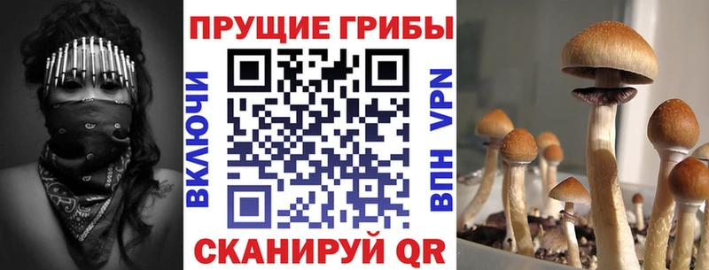 что такое наркотик  мега   Псилоцибиновые грибы MAGIC MUSHROOMS  Мосальск 