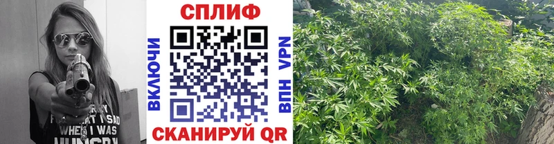 Марихуана гибрид  купить наркотики сайты  Мосальск 